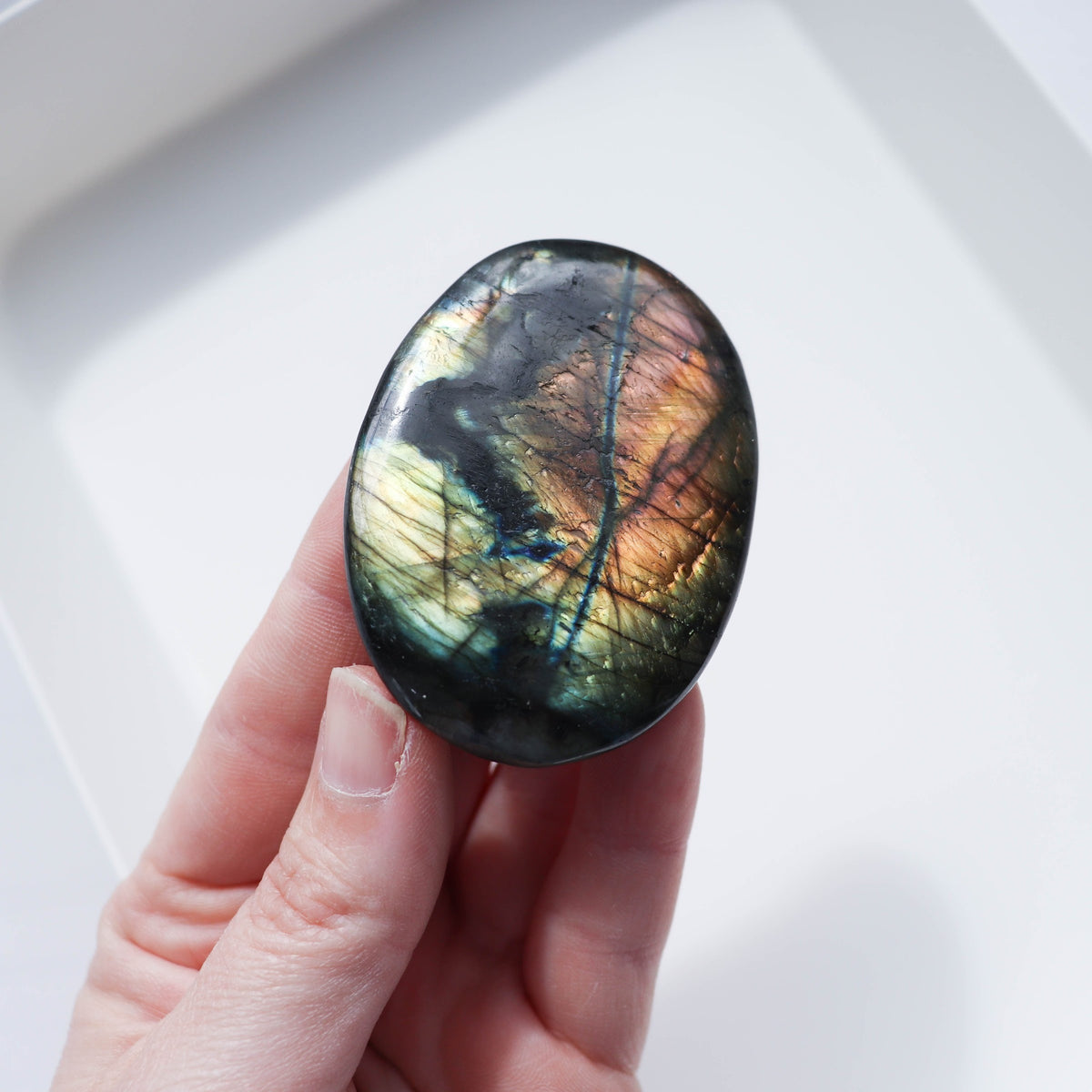 Labradorite Palm #3
