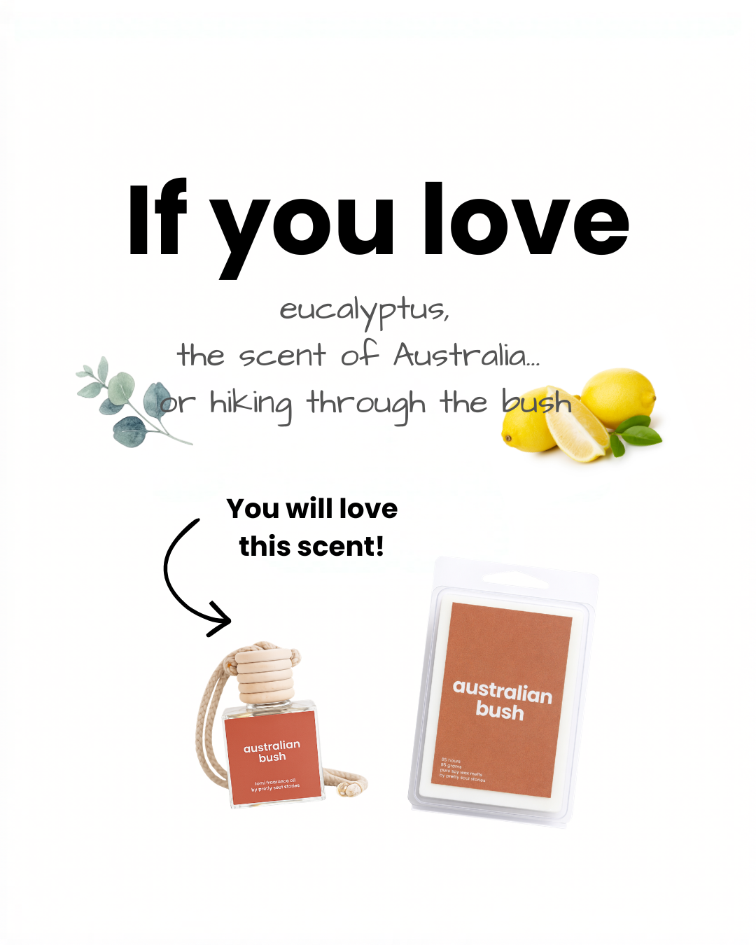 Australian Bush Car Diffuser